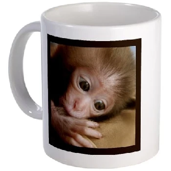 photo,mug,FOTOGRAFIJA,skodelica,tisk,šalčke,sublimacija, krožnik,majic,lončke,ugodno, lokalno, Ljubljana, prilagodljivost, inovativnost, raznolikost, elegantno, hitrost, zanesljivost, prihranek