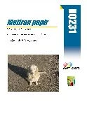 R0231 MATTE WHITE INKJET PHOTO PAPER 210X297 1 POLA, R0231 a4 papir a4 foto papir,photo papir