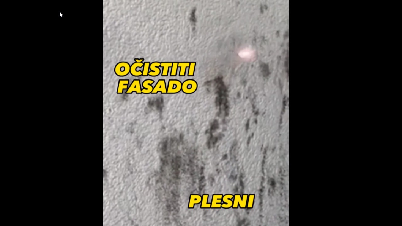 Čiščenje fasad in notranjih sten plesni in mahu